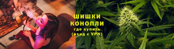 ГАЛЛЮЦИНОГЕННЫЕ ГРИБЫ Переславль-Залесский