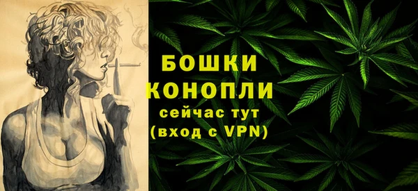 ГАЛЛЮЦИНОГЕННЫЕ ГРИБЫ Переславль-Залесский