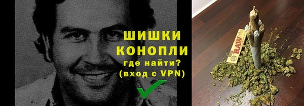 ГАЛЛЮЦИНОГЕННЫЕ ГРИБЫ Переславль-Залесский