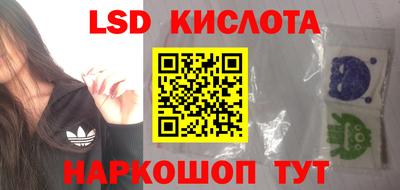 гашик Кулебаки