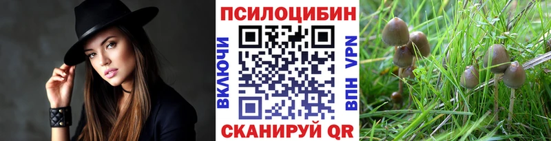 купить   Елец  Галлюциногенные грибы Magic Shrooms 